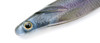 Deps SAKAMATA SHAD 6 REAL Non Salt NEW