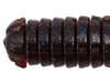 DAIWA MOVE HOG 2.3 NEW