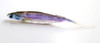 Deps SAKAMATA SHAD 5 REAL Non Salt NEW Deps SAKAMATA SHAD 5 REAL Non Salt NEW