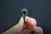 Jackall SPIKIX 2.5 NEW