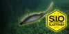 Jackall BITAL MINNOW 5 NEW