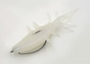 FISH MAGNET GOOBUM NEW