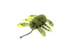 Berkley Japan BEETLE BROTHERS 2.5 NEW