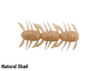 Berkley Japan BEETLE BROTHERS 2.5 NEW