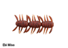Berkley Japan BEETLE BROTHERS 2.5 NEW