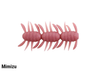 Berkley Japan BEETLE BROTHERS 2.5 NEW