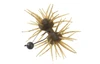 Imakatsu DUMBBELL CRAB Elastomer NEW
