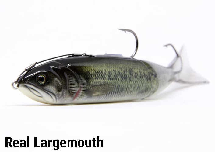 KAESU KOTETSU NEW - KKJAPANLURE
