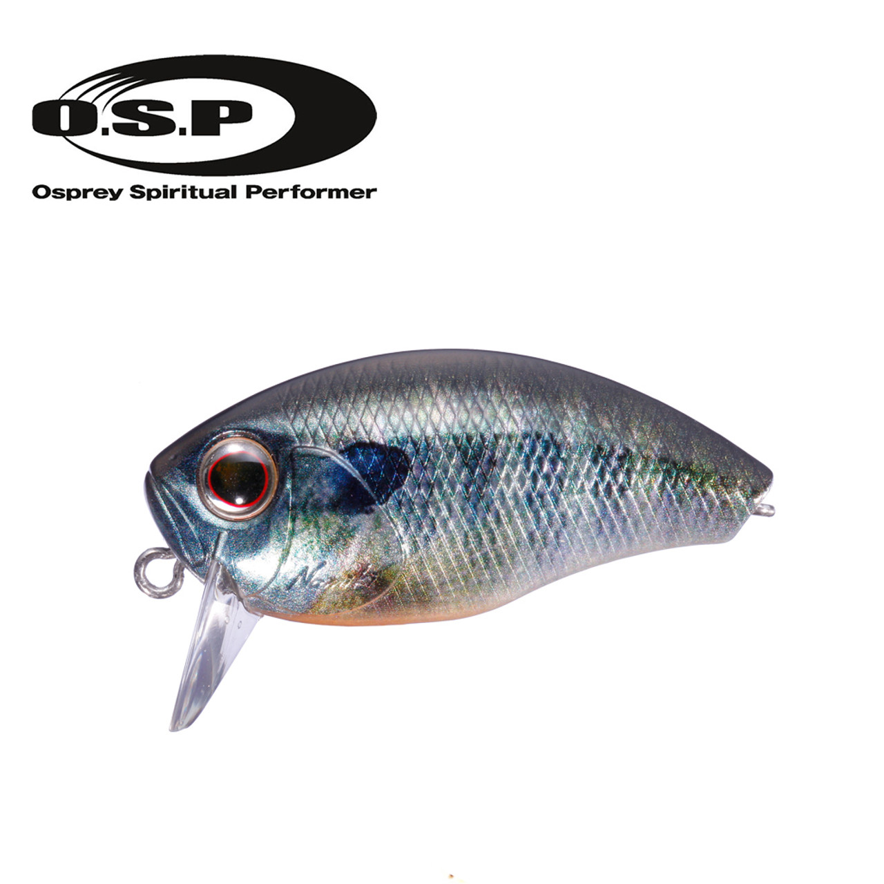 OSP SPINNUTS 50 NEW - KKJAPANLURE