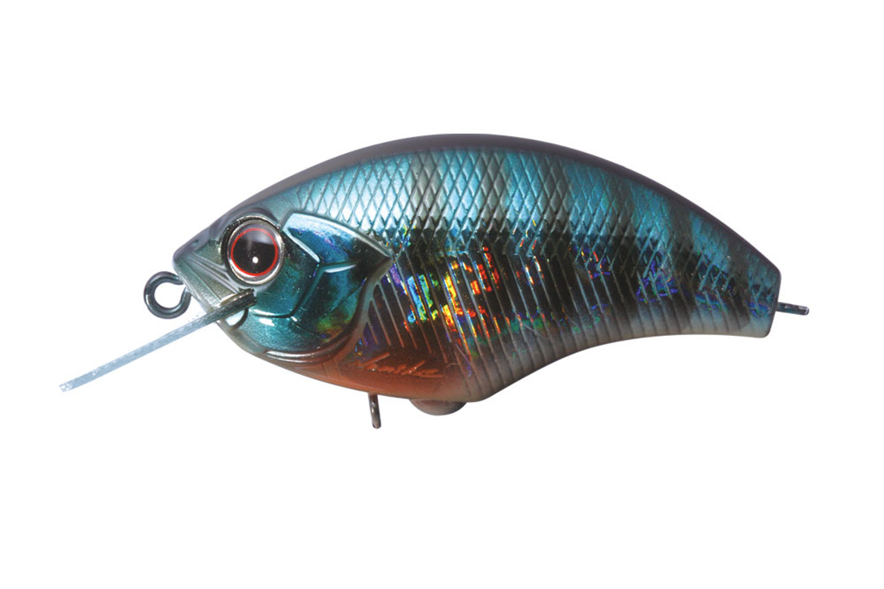 H45 Blue Bluegill