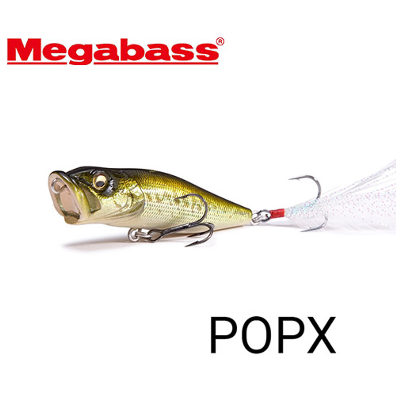 第一ネット Megabass POP-X(SP-C) 2個 ルアー用品 - kintarogroup.com