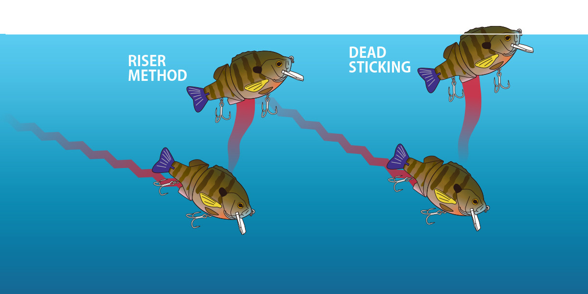 Deps TINY BULLDOZE NEW - KKJAPANLURE