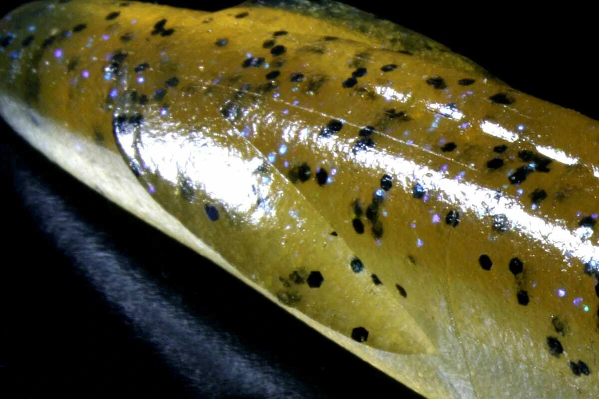 Deps SAKAMATA SHAD 6 NEW