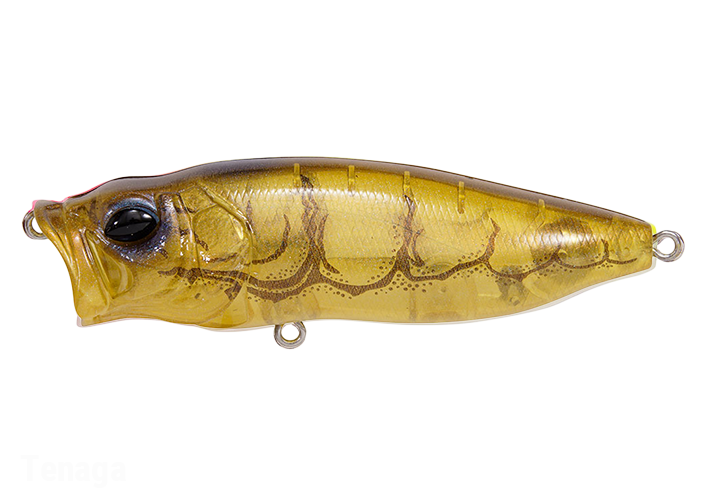 Megabass POPMAX ワンテン Megabass POPMAX NEW - KKJAPANLURE