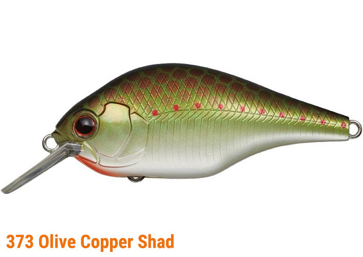Evergreen ZERUCH NEW - KKJAPANLURE