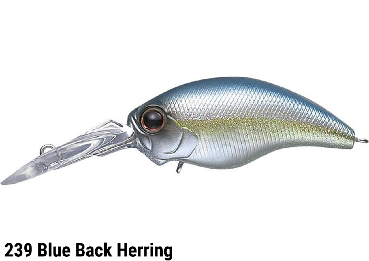 Evergreen WILD HUNCH (WH-5) Crankbait NEW - KKJAPANLURE