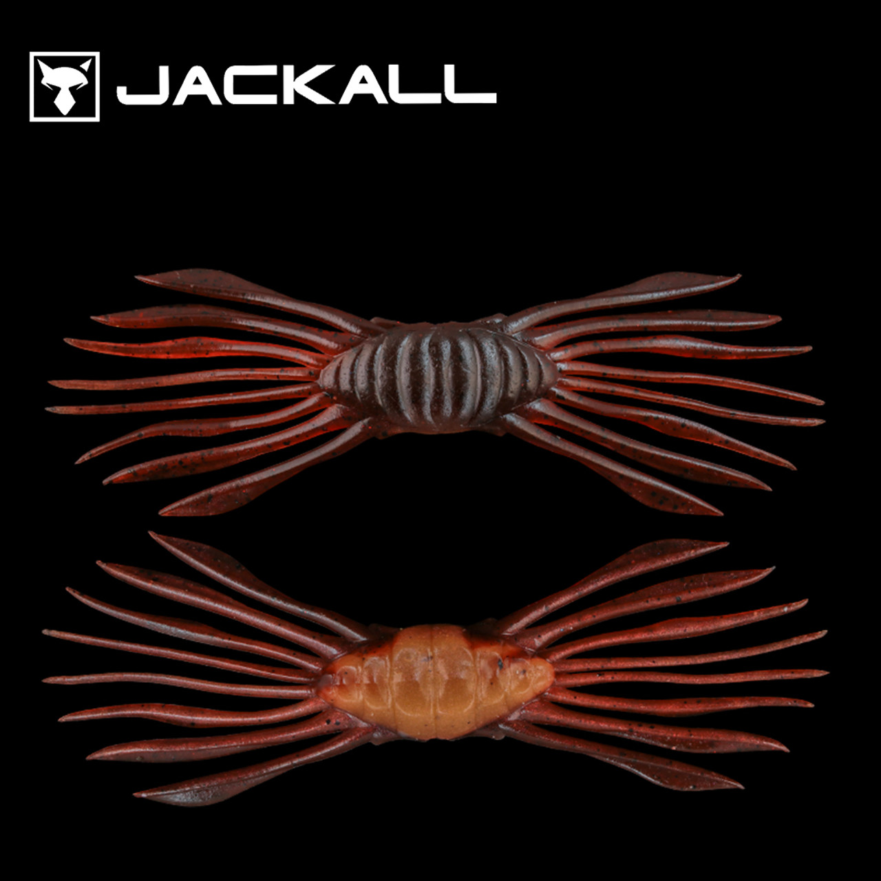 新品　匿名　 spindleshanks crab カニ Shocking] The story of the rare luxury crab that appeared in
