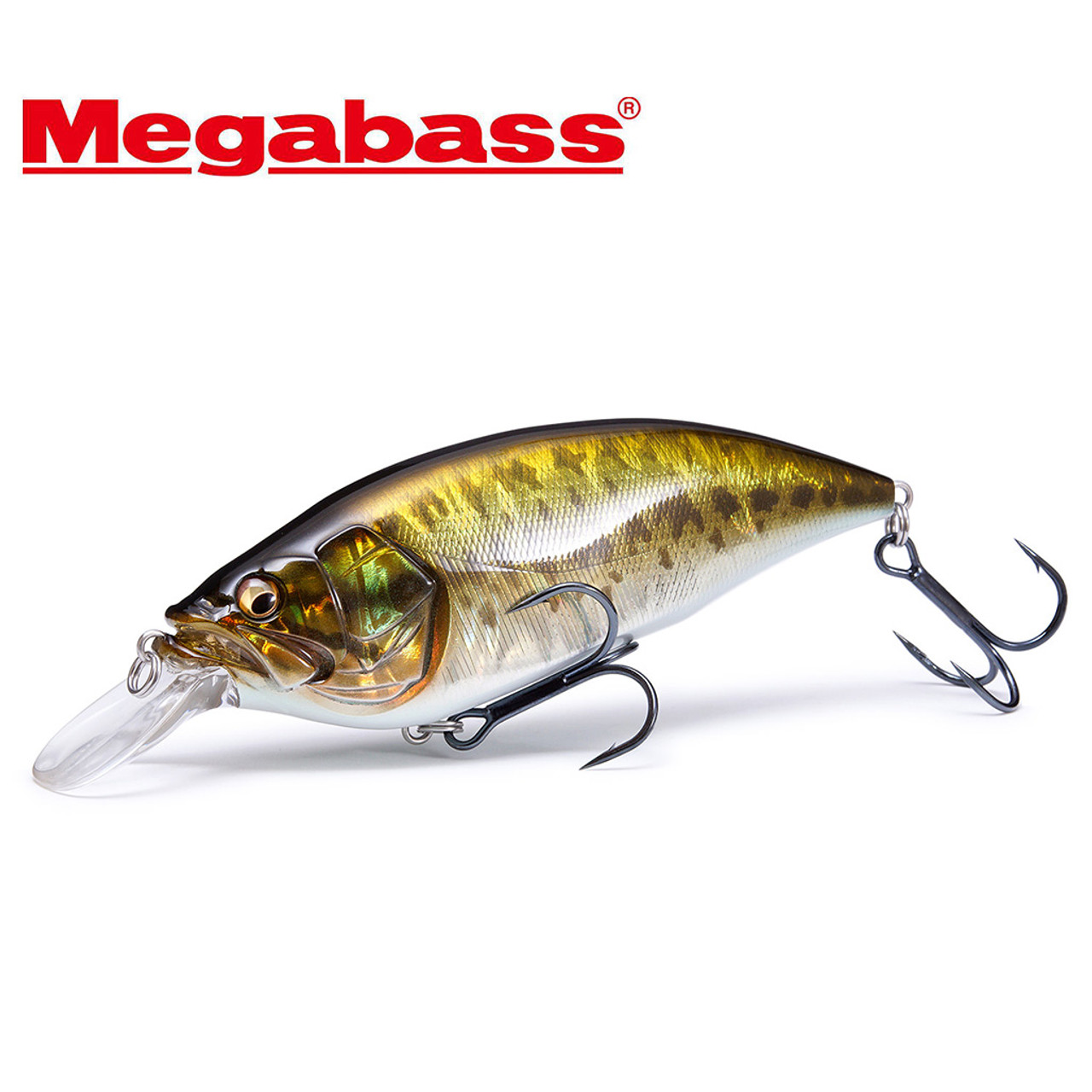 Megabass BIG-M 4.0 Magnum Crankbait NEW - KKJAPANLURE