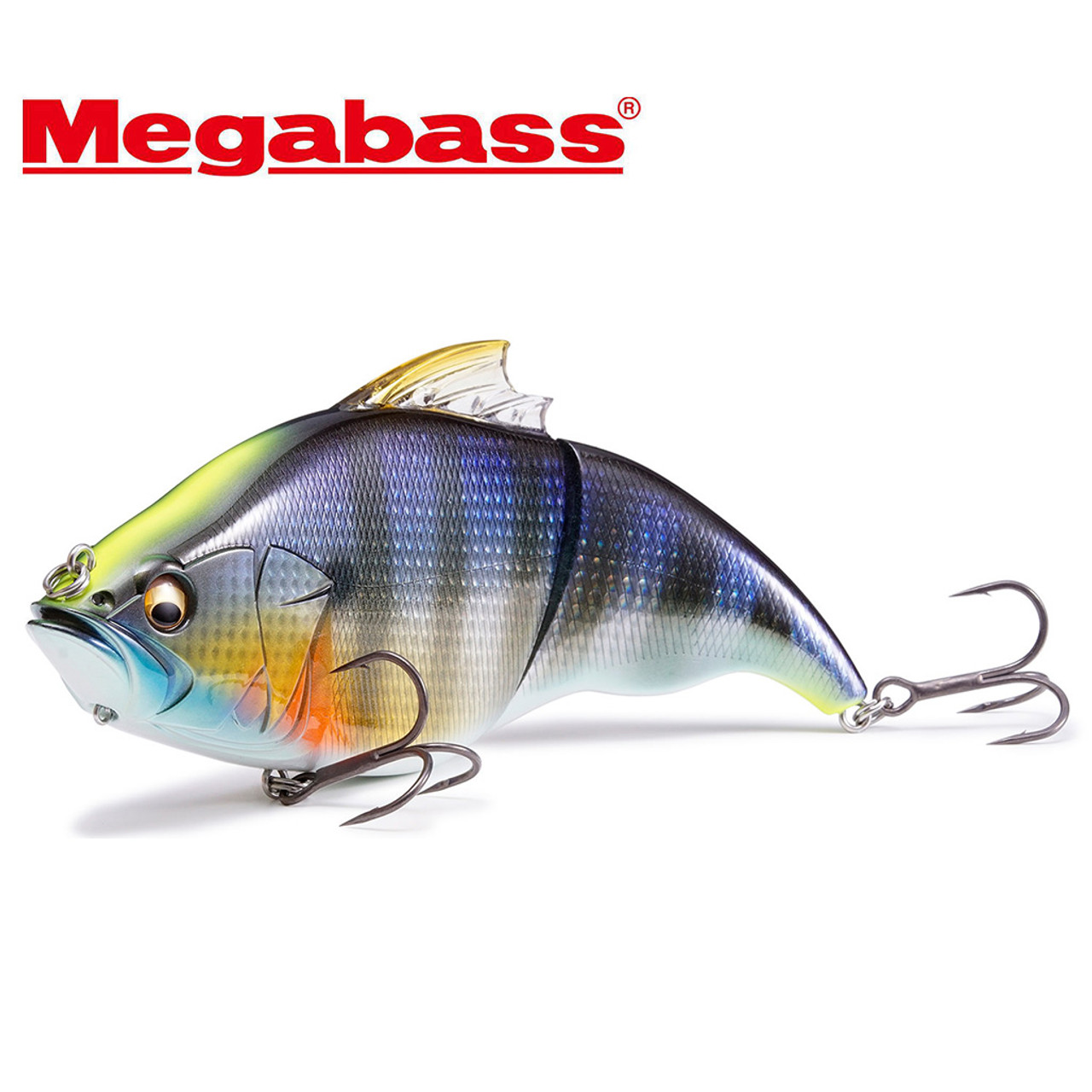 Ultra Shallow Water Glidebait fishing with the Vatalion 190 - Megabass