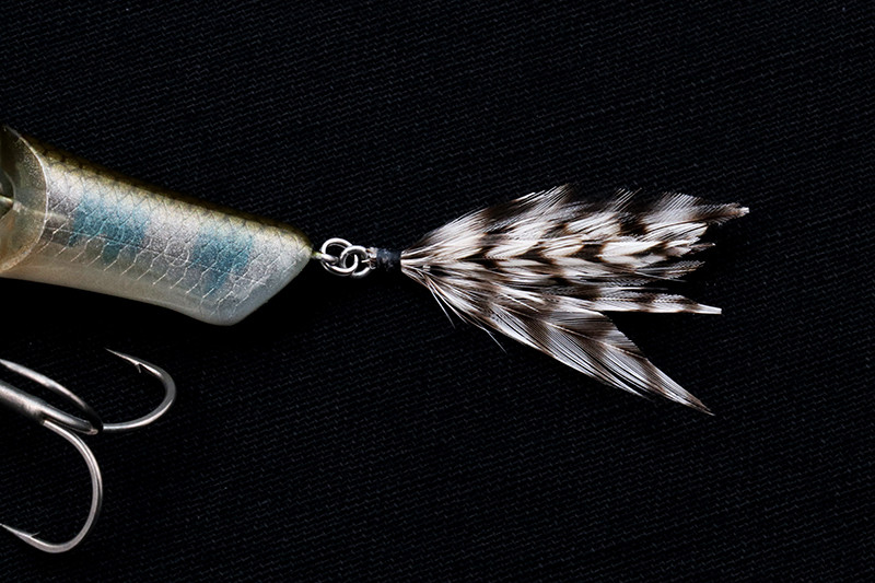 Test du leurre Sleek Mikey 160 - Illex - Peche et Poissons