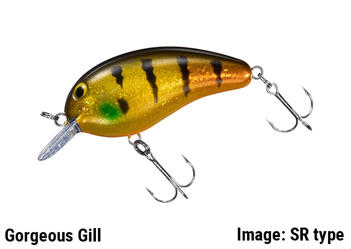 DAIWA PEANUT SSR NEW - KKJAPANLURE