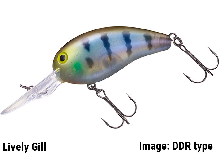 DAIWA PEANUT SSR NEW - KKJAPANLURE