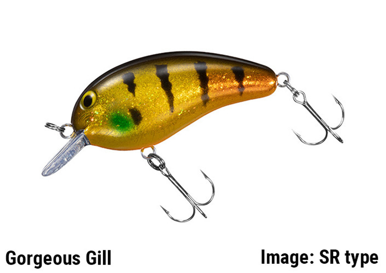 DAIWA PEANUT SR NEW - KKJAPANLURE