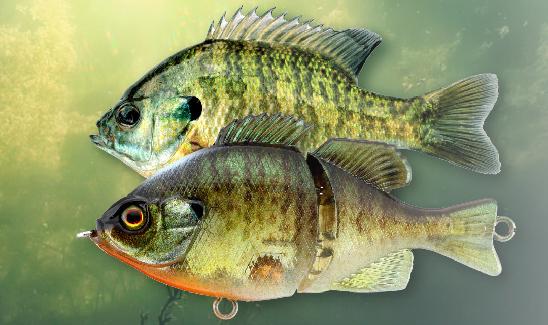 Jackall BABY GIRON NEW - KKJAPANLURE