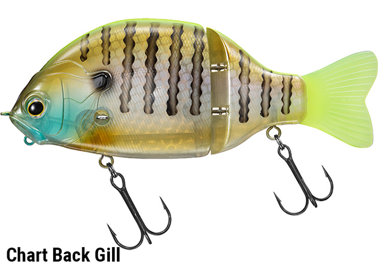 👀 a new inexpensive gill glide lands from Daiwa 🇯🇵! The
