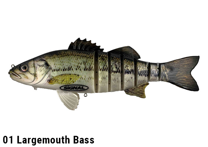 Signal TEASER Giant Swimbait NEW - KKJAPANLURE
