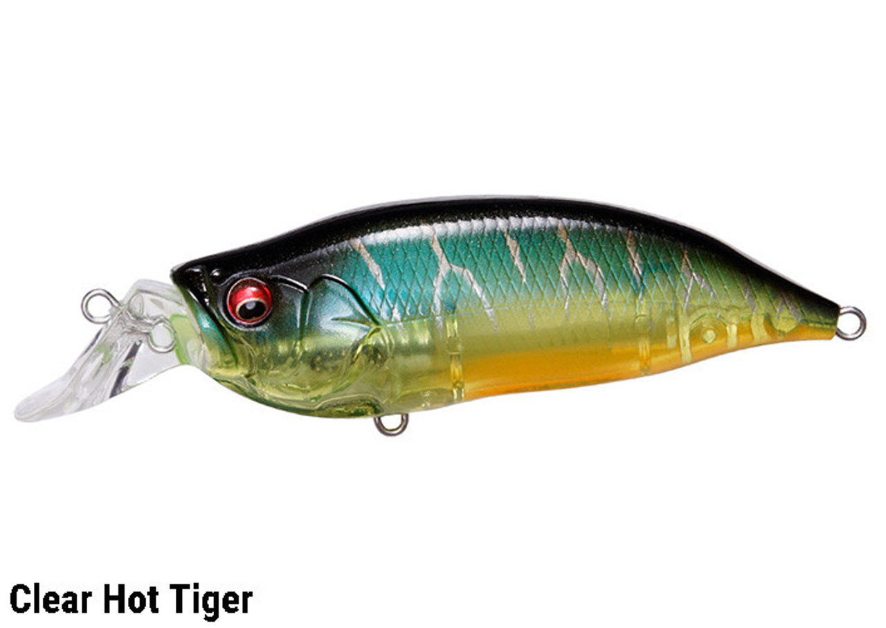 I x I SHAD TYPE-R [Brand New] – JAPAN FISHING TACKLE