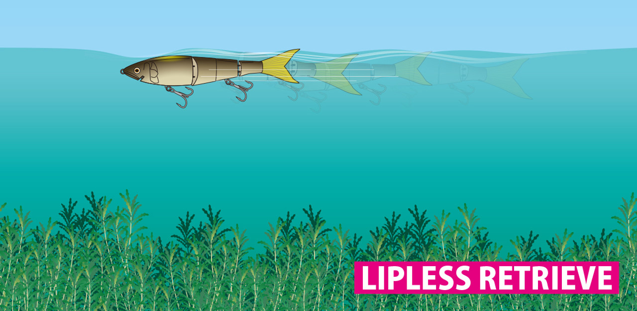 Deps NEW HIGHSIDER 172 NEW - KKJAPANLURE