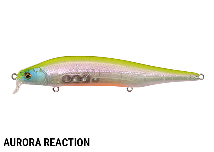 Megabass ITO SHINER SSR NEW - KKJAPANLURE