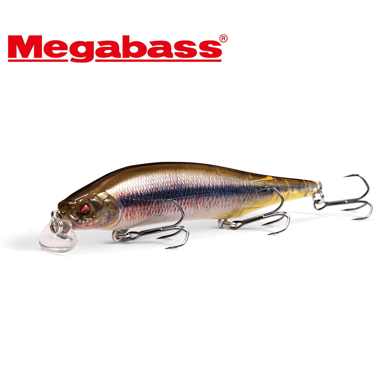 Megabass ITO SHINER SSR NEW