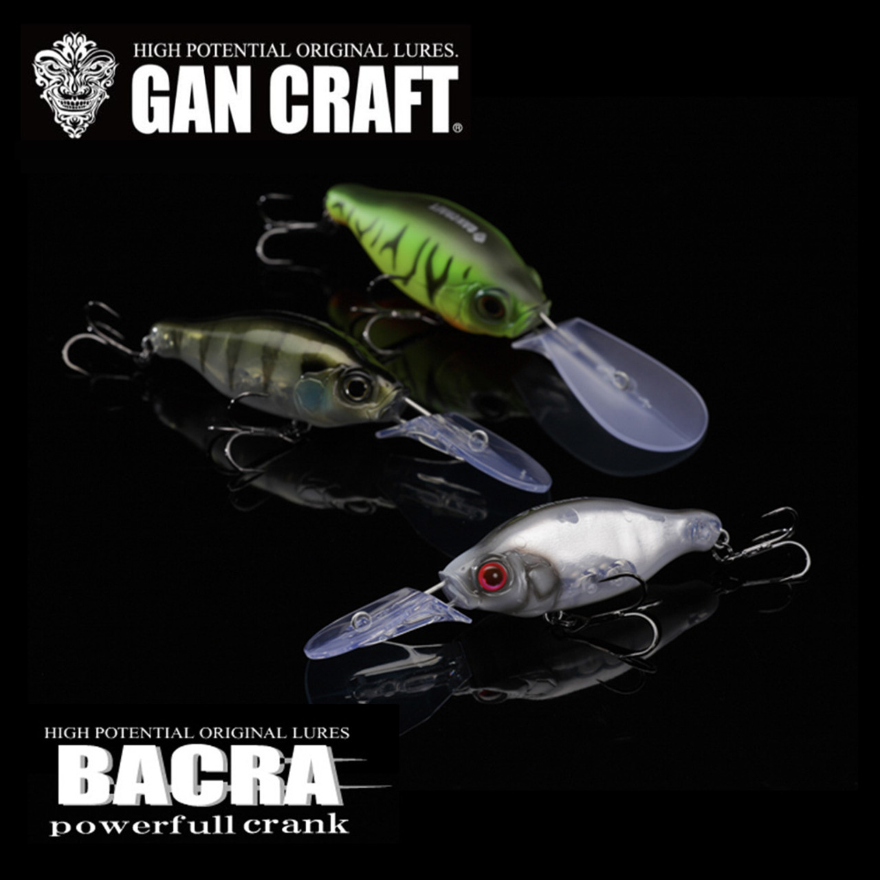 GAN CRAFT BACRA 250 2.5M (8ft) Diver NEW