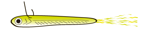 Leurre Flottant Imakatsu IK Shad IS-100 – 60mm 11g – Couleur 757 – Neuf