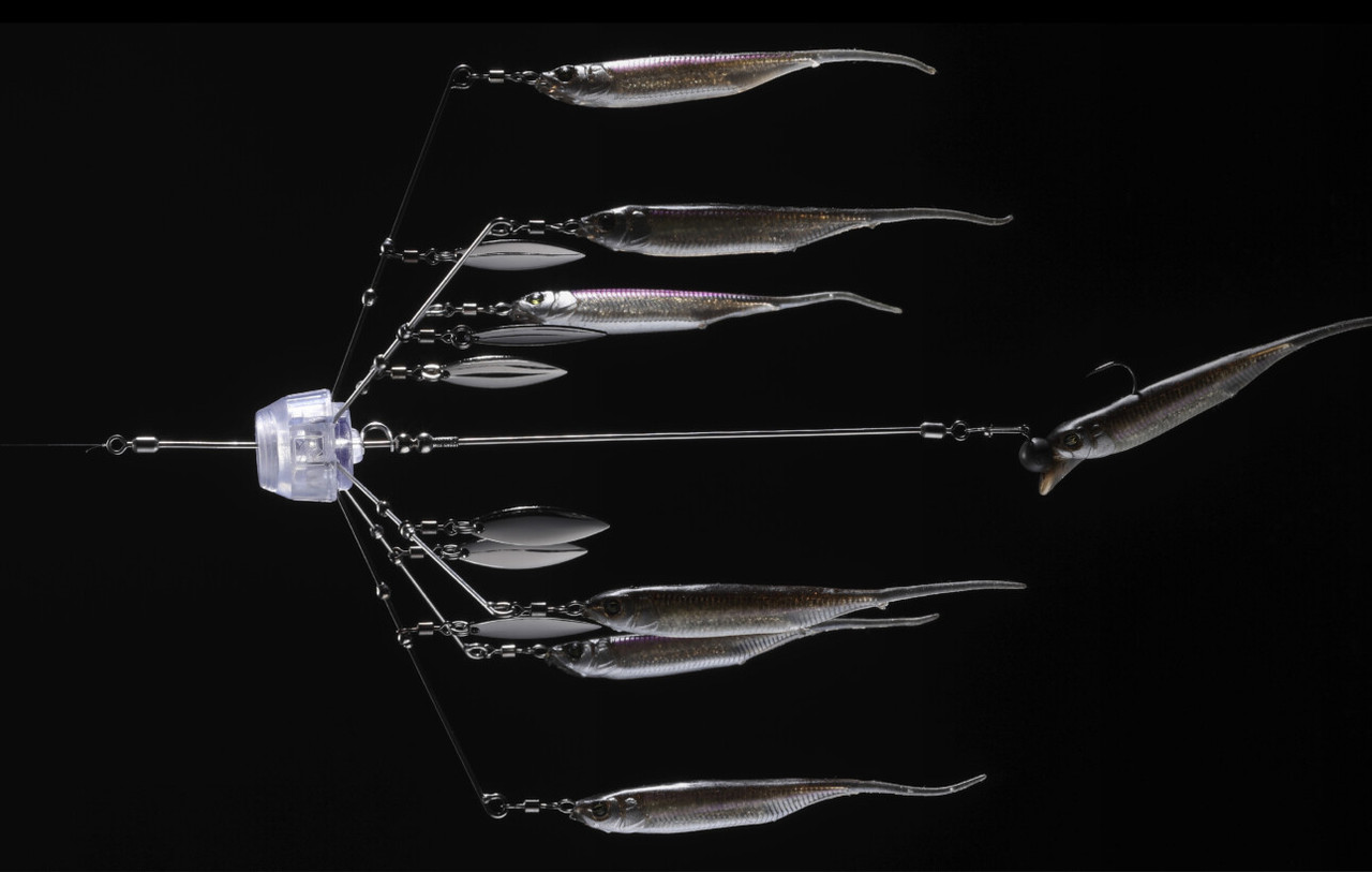 Jackall DRIFT FRY 3.0 ELASTOMER NEW - KKJAPANLURE