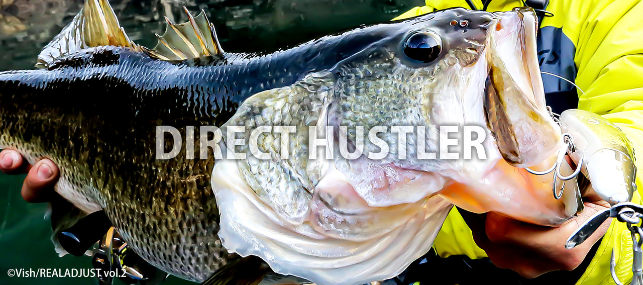 ルアー・フライ deps DIRECT HUSTLER 200mm Deps Direct Hustler 200 100 grams Sinking Lure 04 (3048) | eBay