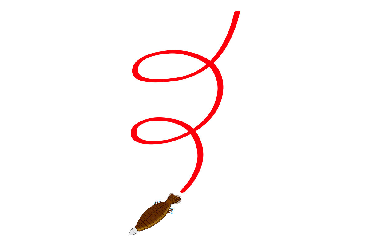 Deps BULL FLAT 5.8 NEW