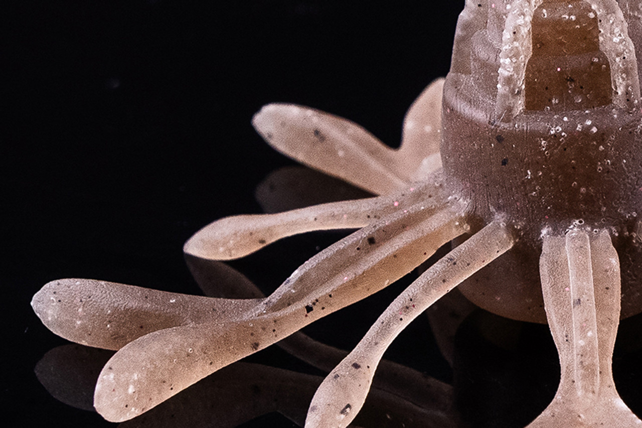 Jackall KING JIMMY HENGE NEW