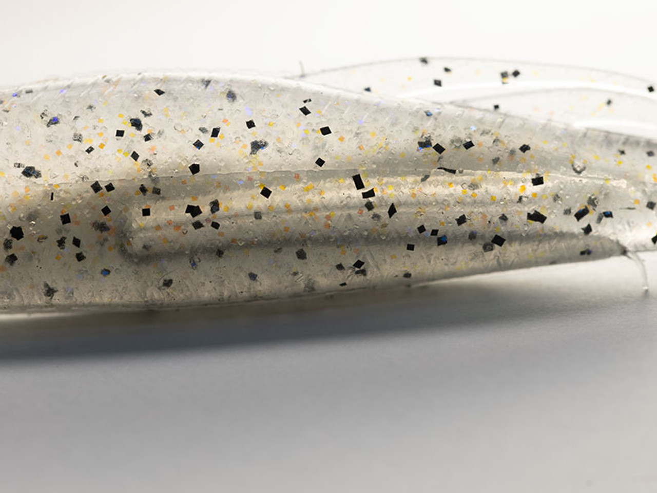 ジュディス ガイガー JUDITH  「Coris Fish」 Coris gaimard - Monaco Nature Encyclopedia