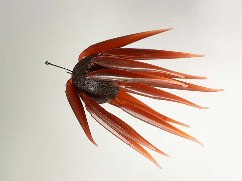 HIDEUP COIKE FISH L Elastomer NEW - KKJAPANLURE