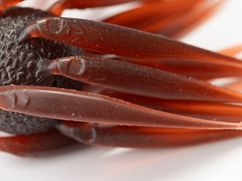 HIDEUP COIKE FISH L Elastomer NEW - KKJAPANLURE