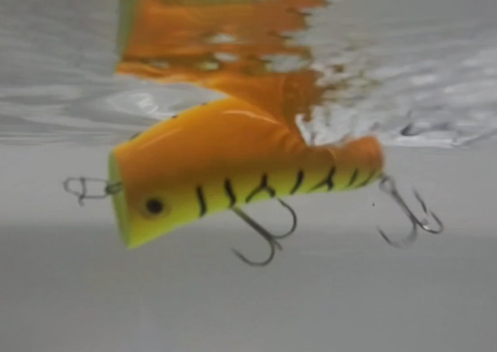 DAIWA CASHEW NUT NEW