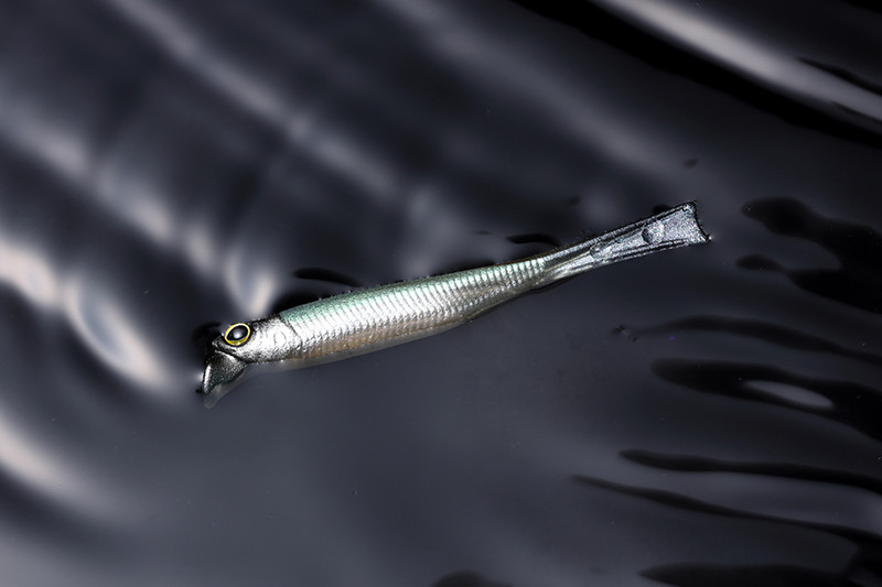 Jackall DRIFT FRY 2.5 ELASTOMER NEW
