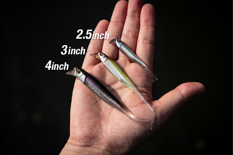 Jackall DRIFT FRY 2.5 ELASTOMER NEW