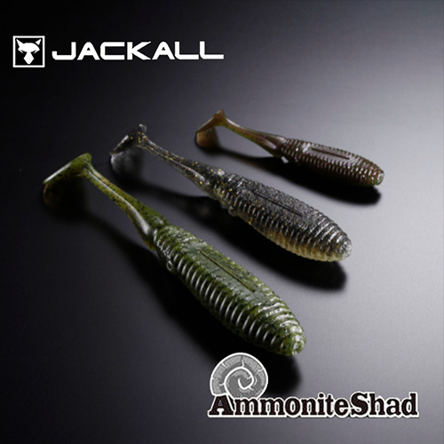 Jackall AMMONITE SHAD 5.5 NEW