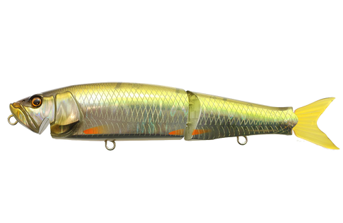 Issei GILL FLAT NEW - KKJAPANLURE