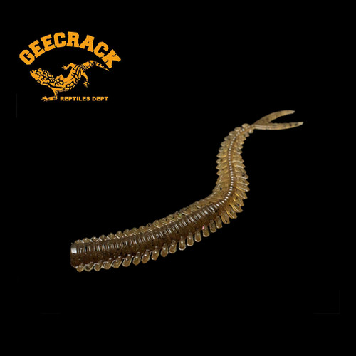GEECRACK SPIRON GRUB 4.8 NEW - KKJAPANLURE