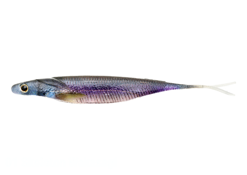 Deps SAKAMATA SHAD 7 REAL Non Salt NEW Deps SAKAMATA SHAD 7 REAL Non Salt NEW